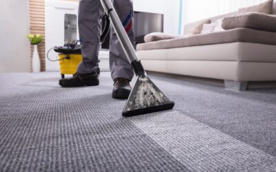 Commercial Carpet Cleaning Services You Can Trust